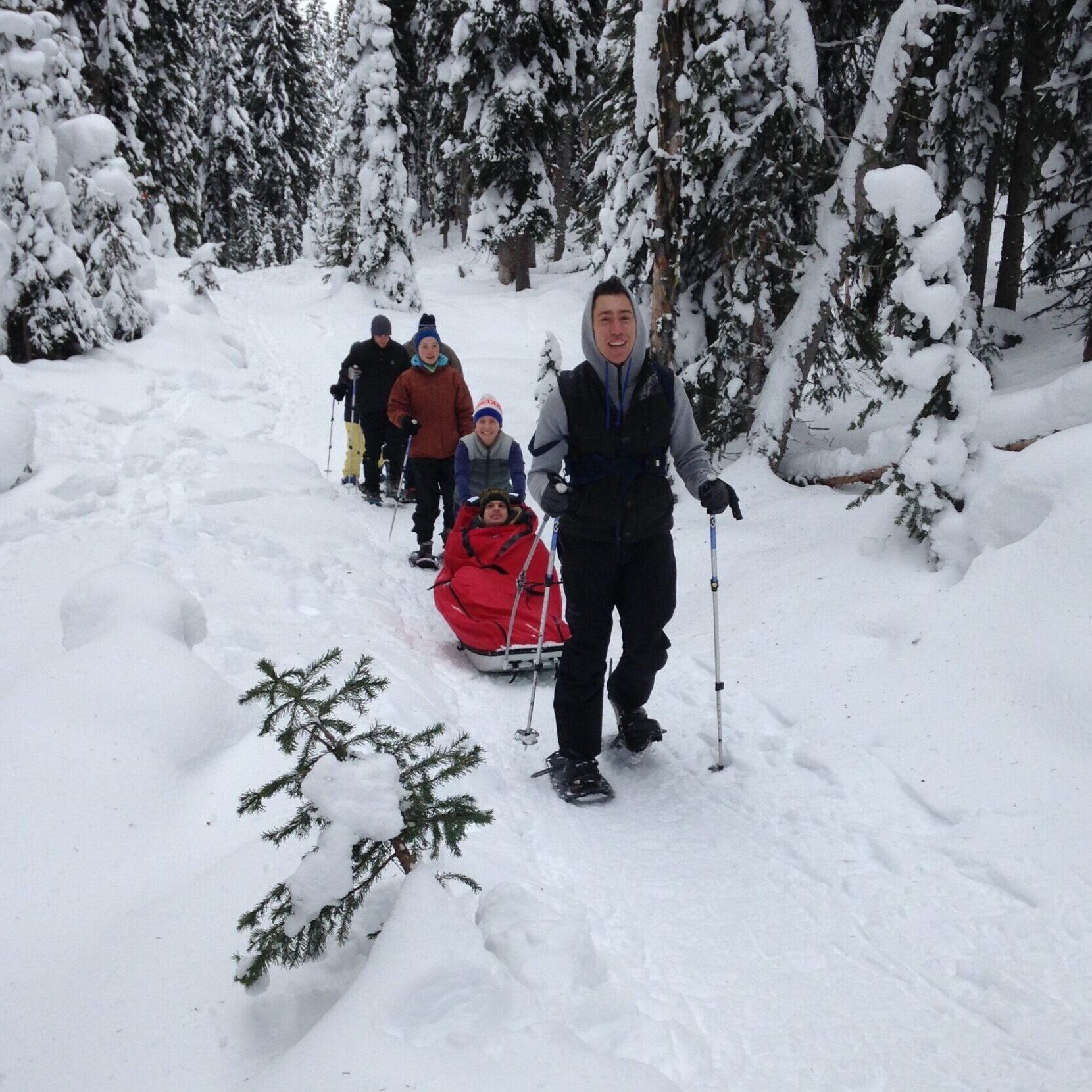 A group of snowshoers on a snow-covered trail in a snowy forest. In front is a man pulling a pulk - a red sled.