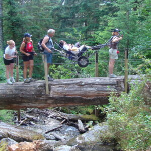 a group of hikers lifting a trailrider across a log bridge